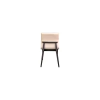 Dining Chair : CM-Y181