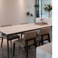 Dining Chair : CM-Y181
