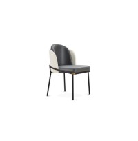 Dining Chair : SZ-C157