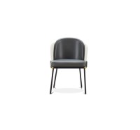 Dining Chair : SZ-C157