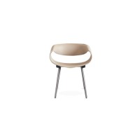 Dining Chair : SZ-C317