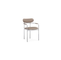 Dining Chair : SZ-C313