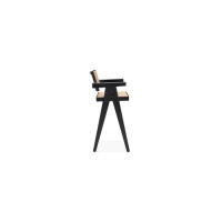 Dining Chair : SZ-C705