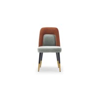 Dining Chair : SZ-C341