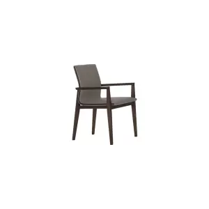 Dining Chair : CM-Y181A