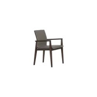 Dining Chair : CM-Y181A
