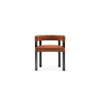 Dining Chair : SZ-C312