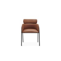 Dining Chair : SZ-C502