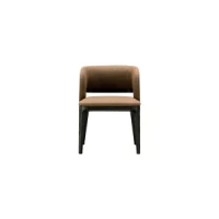 Dining Chair : CM-Y193