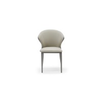 Dining Chair : SZ-C361